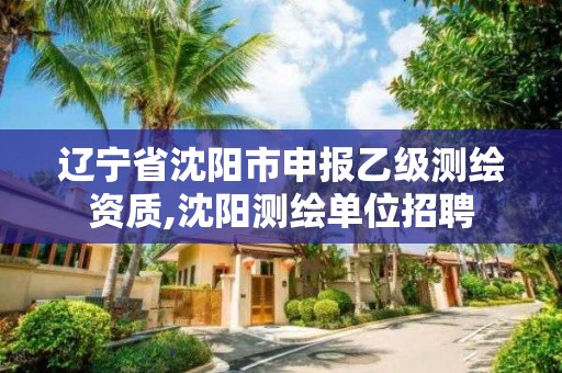 遼寧省沈陽市申報乙級測繪資質,沈陽測繪單位招聘