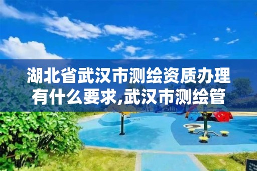 湖北省武漢市測繪資質辦理有什么要求,武漢市測繪管理條例。