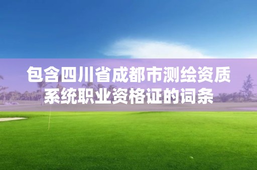 包含四川省成都市測繪資質系統職業資格證的詞條