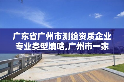 廣東省廣州市測繪資質企業專業類型填啥,廣州市一家測繪資質單位。