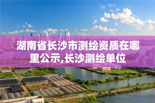 湖南省長沙市測繪資質在哪里公示,長沙測繪單位