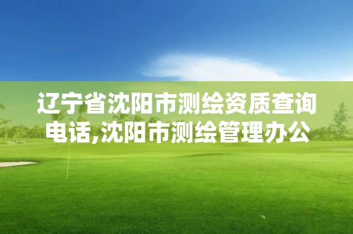 遼寧省沈陽市測繪資質查詢電話,沈陽市測繪管理辦公室