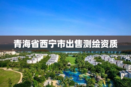 青海省西寧市出售測繪資質