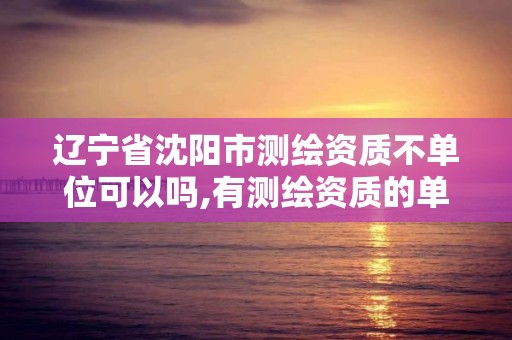 遼寧省沈陽市測繪資質不單位可以嗎,有測繪資質的單位。