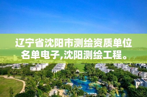 遼寧省沈陽市測繪資質(zhì)單位名單電子,沈陽測繪工程。