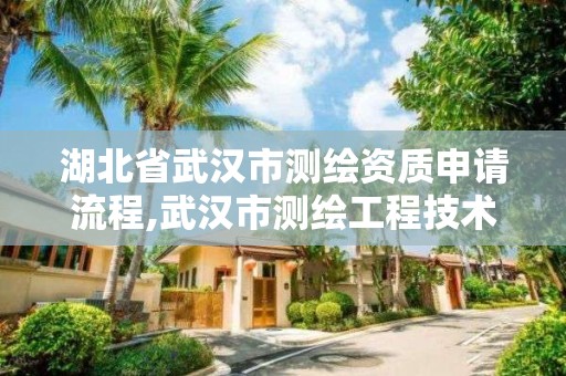 湖北省武漢市測繪資質申請流程,武漢市測繪工程技術規定