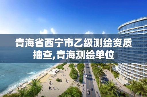 青海省西寧市乙級測繪資質(zhì)抽查,青海測繪單位