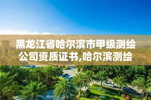 黑龍江省哈爾濱市甲級(jí)測(cè)繪公司資質(zhì)證書(shū),哈爾濱測(cè)繪公司有哪些。