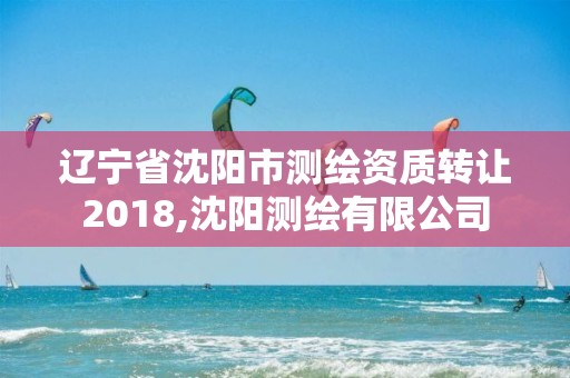 遼寧省沈陽市測繪資質轉讓2018,沈陽測繪有限公司