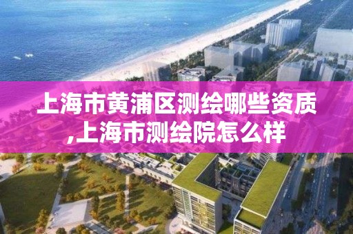 上海市黃浦區測繪哪些資質,上海市測繪院怎么樣