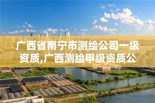 廣西省南寧市測繪公司一級資質,廣西測繪甲級資質公司