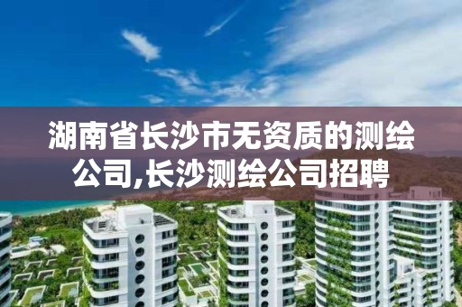 湖南省長沙市無資質(zhì)的測繪公司,長沙測繪公司招聘