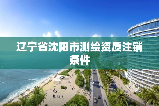 遼寧省沈陽市測繪資質注銷條件