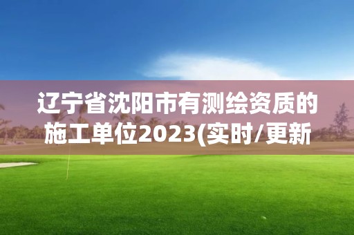 遼寧省沈陽市有測繪資質的施工單位2023(實時/更新中)