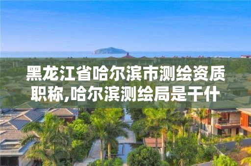 黑龍江省哈爾濱市測繪資質職稱,哈爾濱測繪局是干什么的