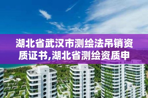 湖北省武漢市測繪法吊銷資質證書,湖北省測繪資質申請。