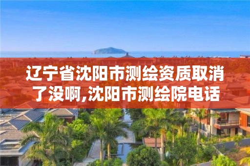 遼寧省沈陽市測繪資質(zhì)取消了沒啊,沈陽市測繪院電話。