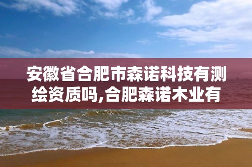 安徽省合肥市森諾科技有測繪資質(zhì)嗎,合肥森諾木業(yè)有限公司