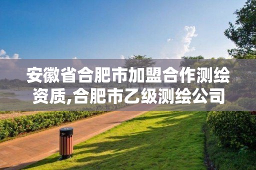 安徽省合肥市加盟合作測繪資質,合肥市乙級測繪公司。