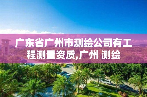 廣東省廣州市測(cè)繪公司有工程測(cè)量資質(zhì),廣州 測(cè)繪