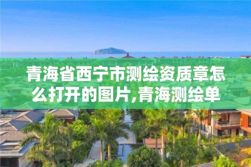 青海省西寧市測繪資質章怎么打開的圖片,青海測繪單位。