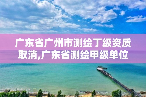 廣東省廣州市測繪丁級資質取消,廣東省測繪甲級單位