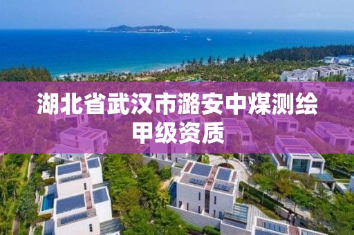 湖北省武漢市潞安中煤測繪甲級資質