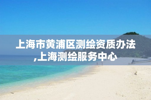 上海市黃浦區測繪資質辦法,上海測繪服務中心