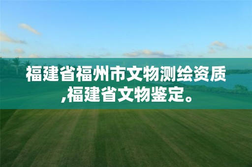 福建省福州市文物測繪資質,福建省文物鑒定。