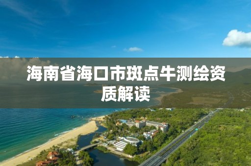 海南省海口市斑點牛測繪資質解讀