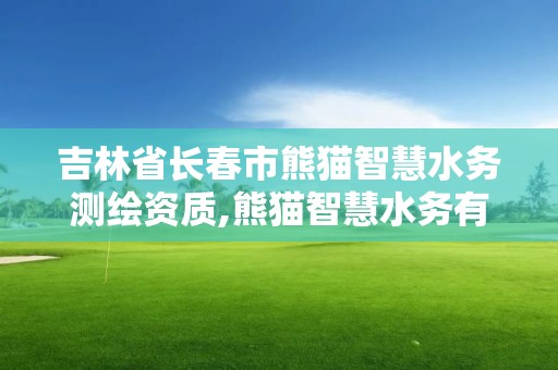 吉林省長春市熊貓智慧水務測繪資質,熊貓智慧水務有限公司武漢