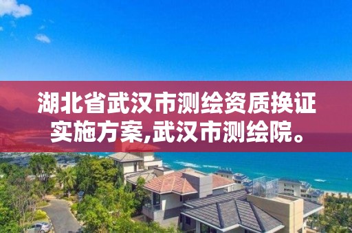 湖北省武漢市測繪資質換證實施方案,武漢市測繪院。