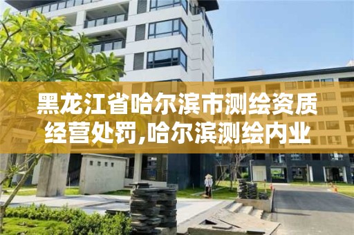 黑龍江省哈爾濱市測繪資質(zhì)經(jīng)營處罰,哈爾濱測繪內(nèi)業(yè)招聘信息