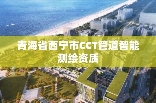 青海省西寧市CCT管道智能測繪資質