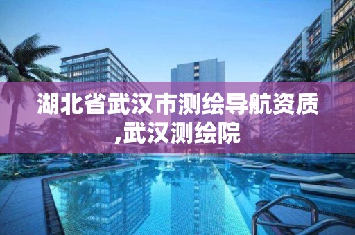 湖北省武漢市測繪導航資質,武漢測繪院