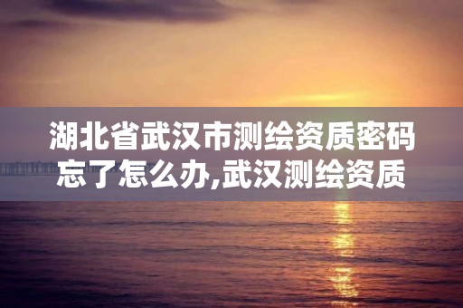 湖北省武漢市測繪資質密碼忘了怎么辦,武漢測繪資質代辦。