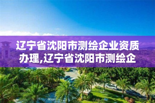 遼寧省沈陽市測繪企業資質辦理,遼寧省沈陽市測繪企業資質辦理地點