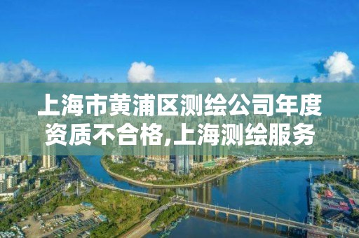 上海市黃浦區測繪公司年度資質不合格,上海測繪服務中心。