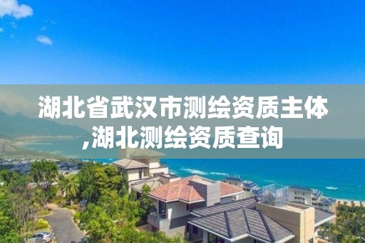 湖北省武漢市測繪資質主體,湖北測繪資質查詢