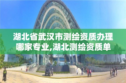 湖北省武漢市測繪資質辦理哪家專業,湖北測繪資質單位