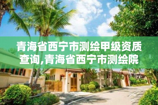 青海省西寧市測繪甲級資質查詢,青海省西寧市測繪院