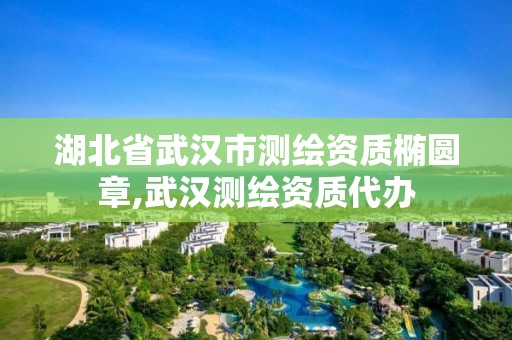 湖北省武漢市測繪資質橢圓章,武漢測繪資質代辦