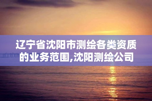 遼寧省沈陽市測繪各類資質的業務范圍,沈陽測繪公司招聘信息最新招聘。