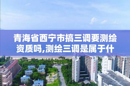 青海省西寧市搞三調要測繪資質嗎,測繪三調是屬于什么工作。