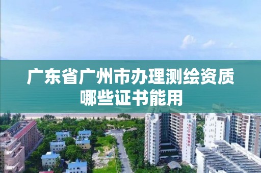 廣東省廣州市辦理測繪資質哪些證書能用