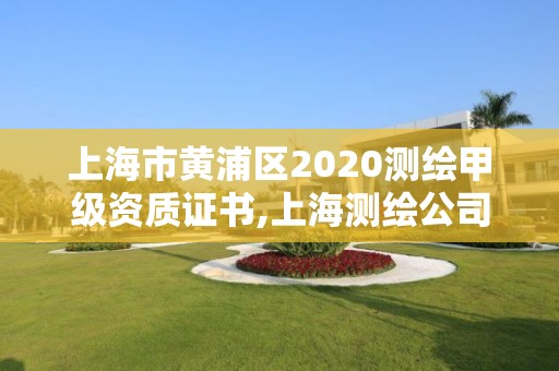 上海市黃浦區2020測繪甲級資質證書,上海測繪公司有哪幾家。