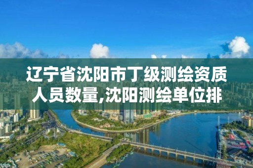 遼寧省沈陽市丁級測繪資質人員數量,沈陽測繪單位排名