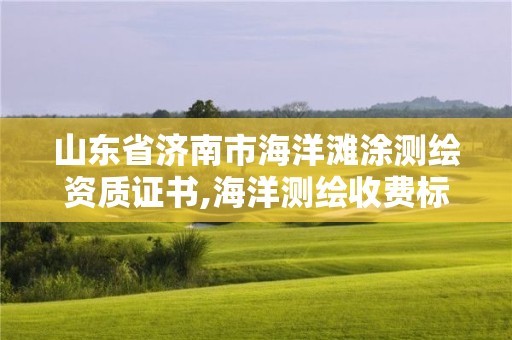 山東省濟南市海洋灘涂測繪資質證書,海洋測繪收費標準。