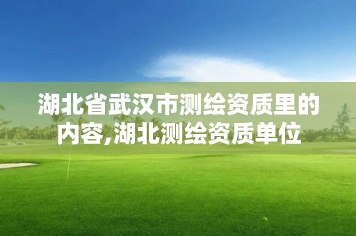 湖北省武漢市測繪資質里的內容,湖北測繪資質單位