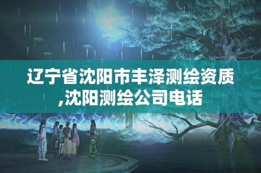 遼寧省沈陽市豐澤測繪資質(zhì),沈陽測繪公司電話